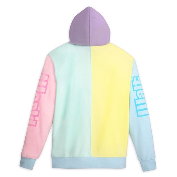 Walt Disney World Pastel Logo Colorblock Hoodie Sweatshirt Unisex Sz Medium - Picture 2 of 13